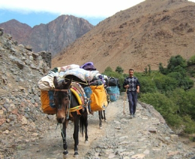 3-Day Trek With Toubkal Guide